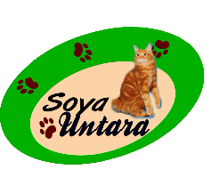 Питомник "Soya Untara"
курильские бобтейлы